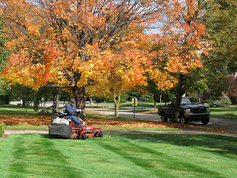 How to Find the Perfect Yard Guy in Your Area